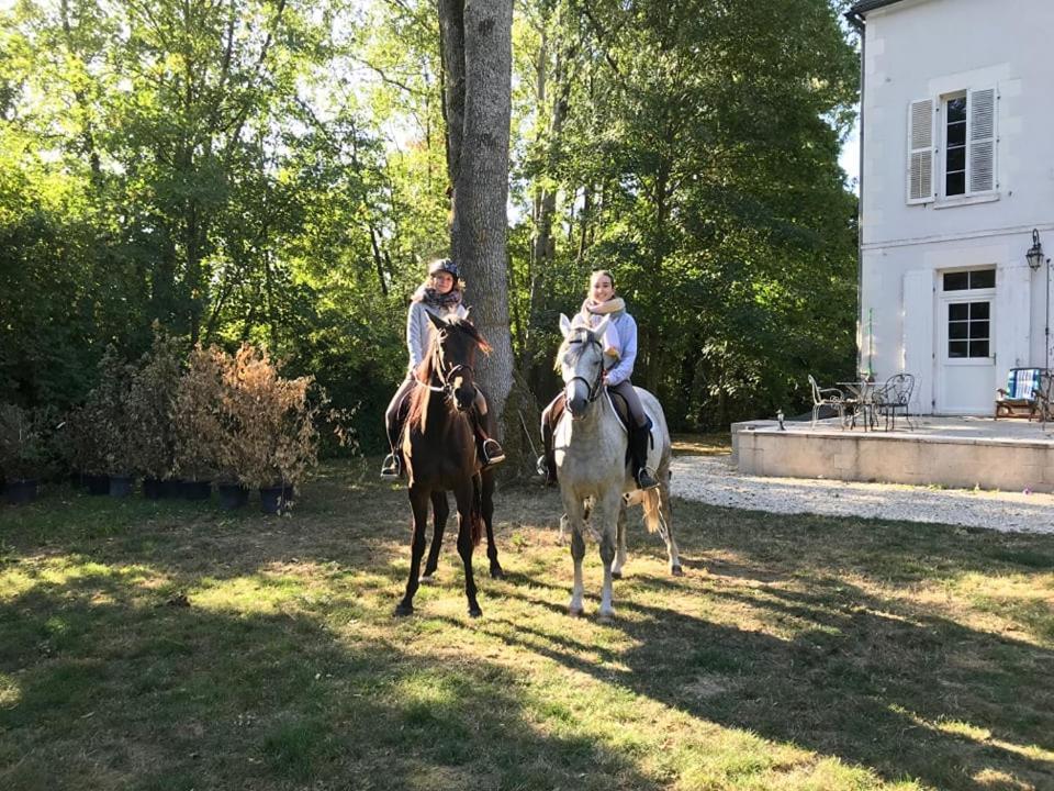 Corps De Ferme Dans Belle Propriete Avec Chiens Et Chevaux Villa Venizy Buitenkant foto